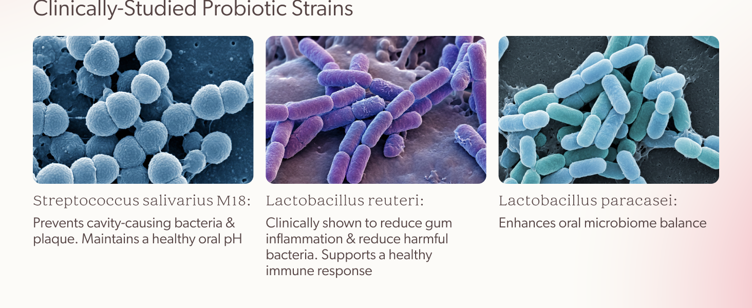 fights plaque and bacteria that causes strep throat, ear infections, and sinus infections.